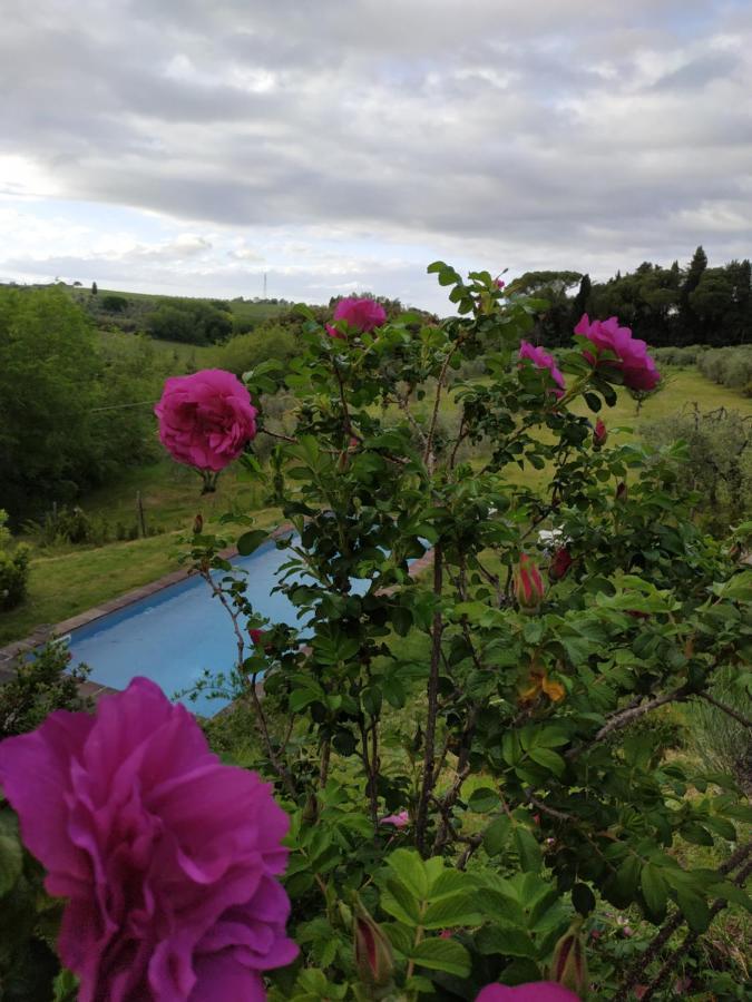 Poderi In Chianti Tavarnelle Val di Pesa 외부 사진